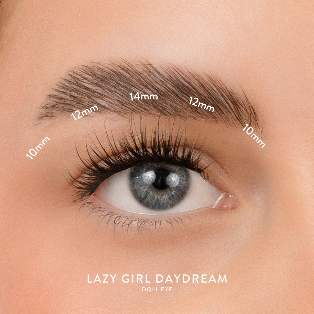 Daydream_B_d56a7df5-88ea-447e-924b-d7486d4f8a06.png